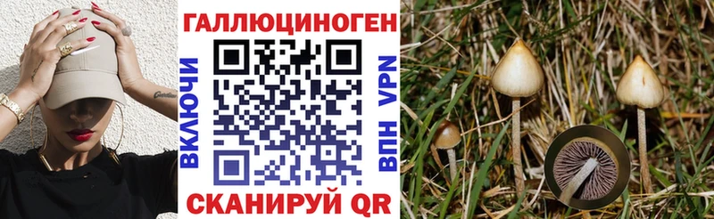 Псилоцибиновые грибы MAGIC MUSHROOMS  мега как зайти  Большой Камень 