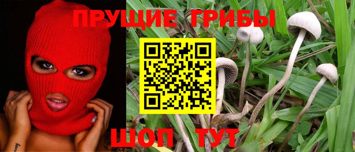 Псилоцибиновые грибы ЛСД Большой Камень