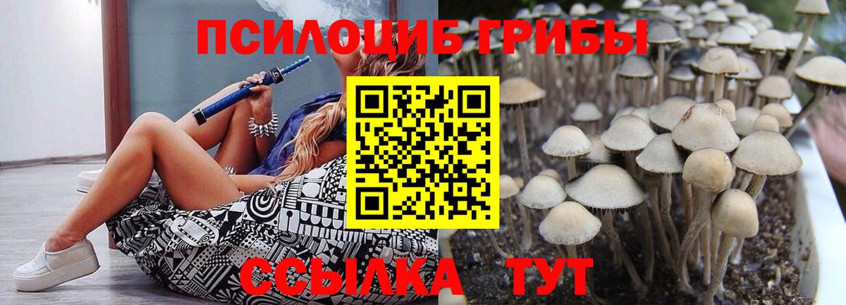 Псилоцибиновые грибы MAGIC MUSHROOMS  Вход с VPN  даркнет сайт  Большой Камень 
